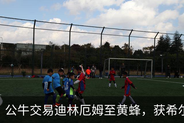 公牛交易迪林厄姆至黄蜂，获希尔德与现金回报